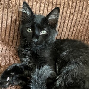 Fundraising Page: Janine Dunson